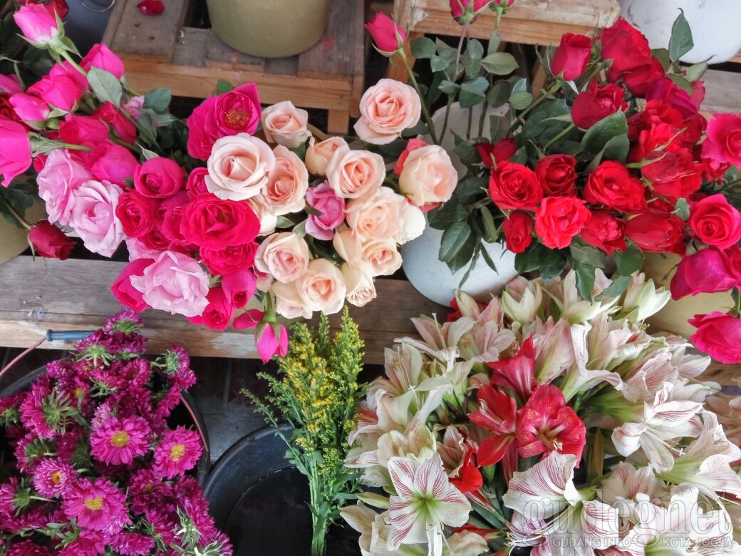 Pasar Kembang Kotabaru Yogyakarta