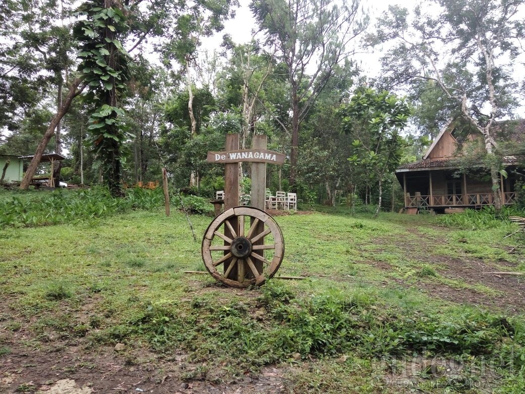 Museum Kayu Wanagama Yogyakarta