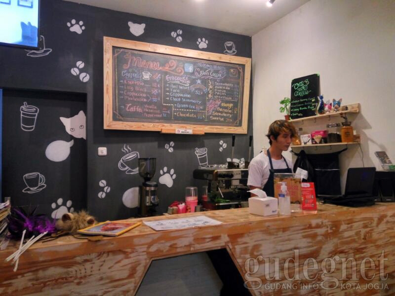 Cats and Coffee Jogja