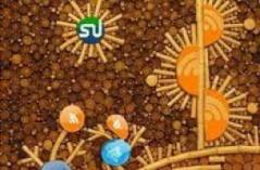 Bravo Craft Yogyakarta