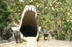 Desa Wisata Grogol Yogyakarta