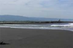 Pantai Samas Yogyakarta