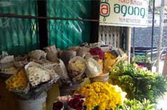 Toko Bunga Agung 