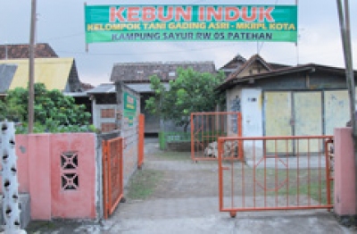 Kelompok Tani Gading Asri