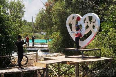 Hutan Mangrove Kulon Progo