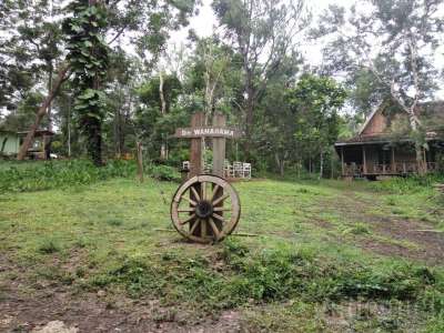 Museum Kayu Wanagama Yogyakarta