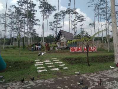 Agrowisata Bhumi Merapi 
