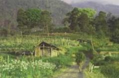 Desa Wisata Wonosadi Yogyakarta