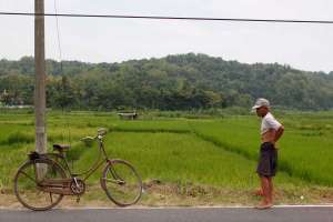 Desa Wisata Wukirsari 
