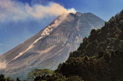 Awan Panas Merapi