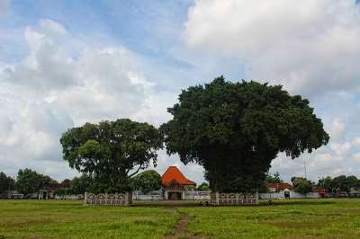 Alun-alun Selatan (Kidul) Keraton Yogyakarta