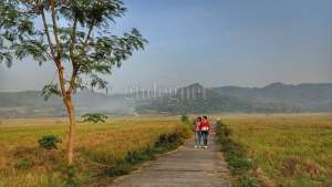 Perbukitan Menoreh di Pedukuhan Pronosutan, Kelurahan Kembang, Kapanewon Nanggulan, Kulonprogo.