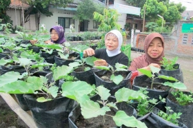 kampung