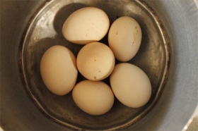 Telur ayam kampung sebagai bahan baku pembuatan jamu