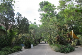 Suasana Asri di Dalam Gembira Loka Zoo