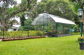 taman anggrek