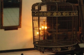 sangkar burung koleksi museum Sonobudoyo unit 2