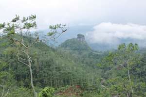Pemandangan di puncak Kebun Teh Tritis