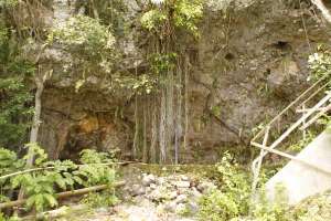 Akar pohon beringin yang tumbuh di atas goa