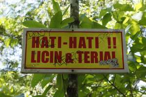 Ini alasan kenapa kamu harus memakai sepatu dan berhati-hati 