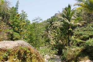 Pemandangan dari atas Grojogan Lepo