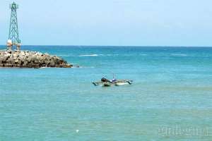 Mercusuar di Pantai Sadeng menjadi daya tarik tersendiri bagi wisatawan