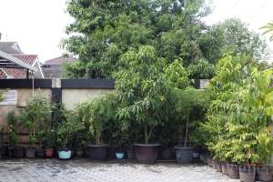 Halaman depan Omah Ganesha