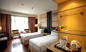 Roos In_Room