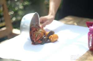 The Crabbys Jogja