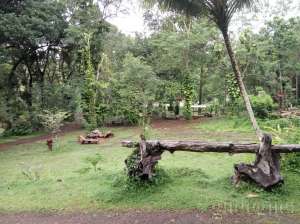Museum Kayu Wanagama