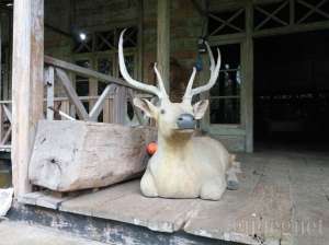 Museum Kayu Wanagama