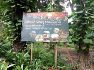 Museum Kayu Wanagama