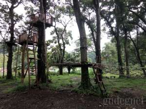Museum Kayu Wanagama