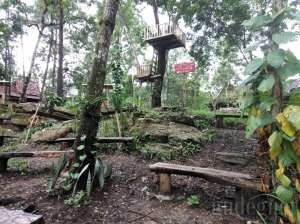 Museum Kayu Wanagama