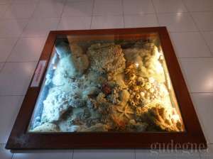 Museum Gembira Loka Yogyakarta