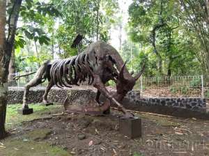 Rumah Budaya Omah Petruk Sleman