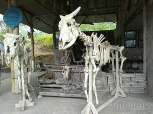 Koleksi Museum Sisa Hartaku (rumah Kimin)