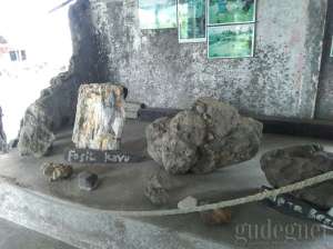 Museum Omahku memoriku