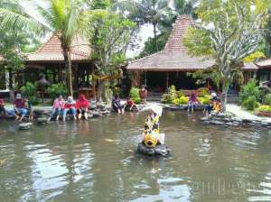 Kolam terapi ikan di Kampung Flory