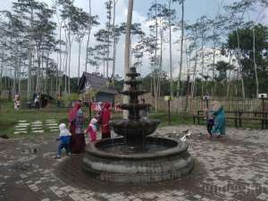 Bhumi Merapi Jogja