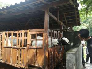 Pembelajaran langsung dari lapangan 