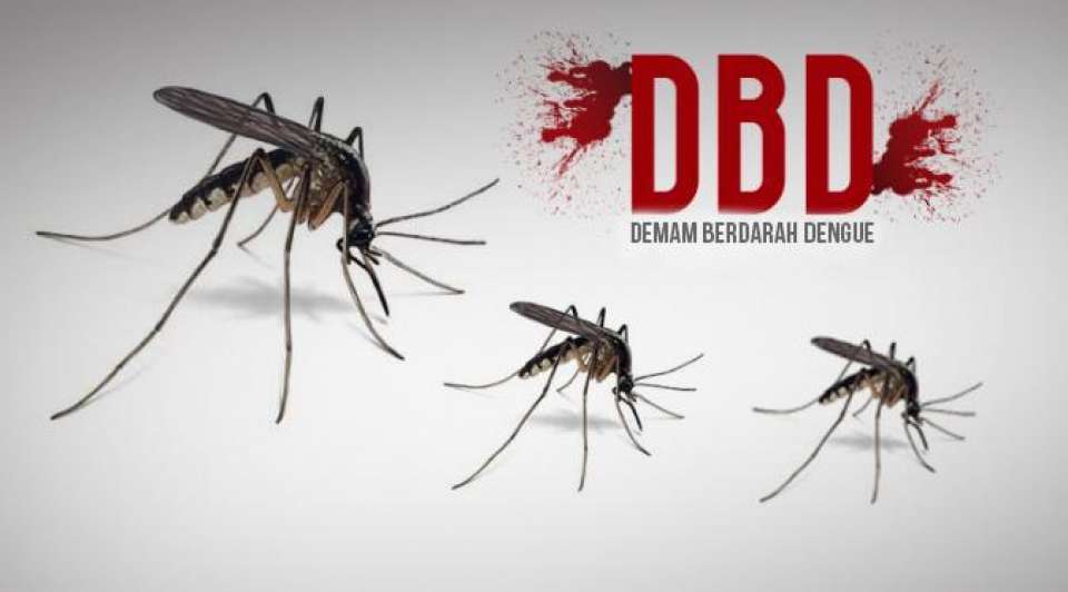 Tangkis Demam Berdarah dengan 6 Cara Ini Tangkis Demam Berdarah dengan 6 Cara Ini
