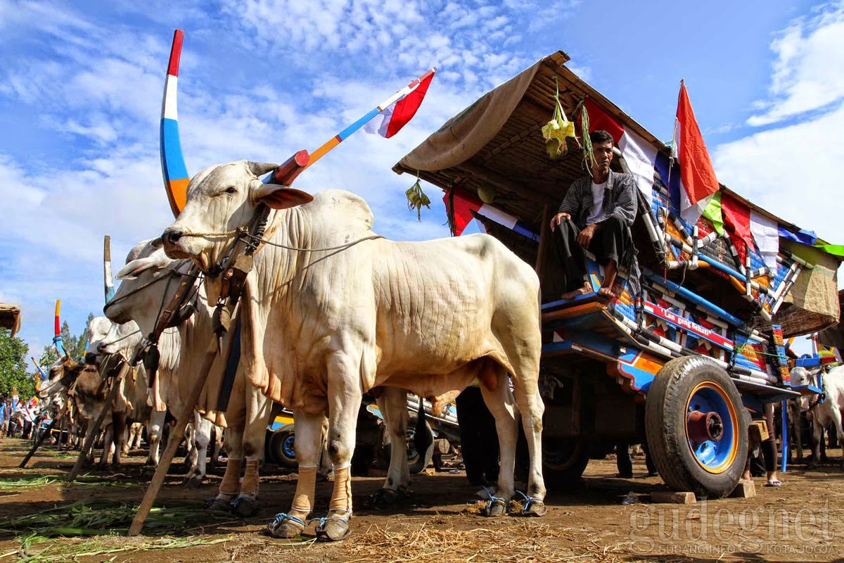 Gerobak Sapi Modifikasi Perupa akan Dipamerkan di Prambanan