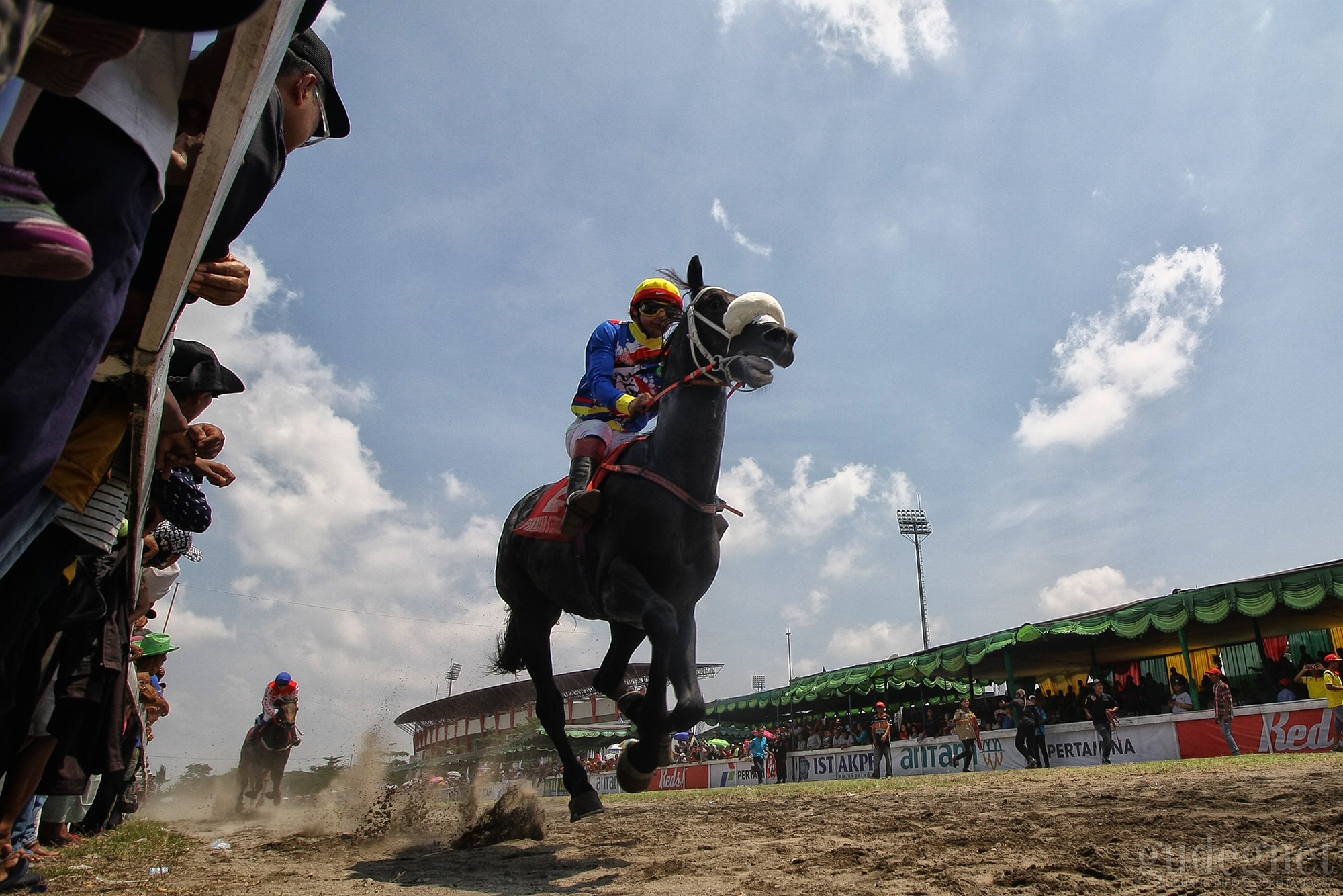 130 Kuda Bersaing Ketat pada Kejuaran Paku Alam Cup VII