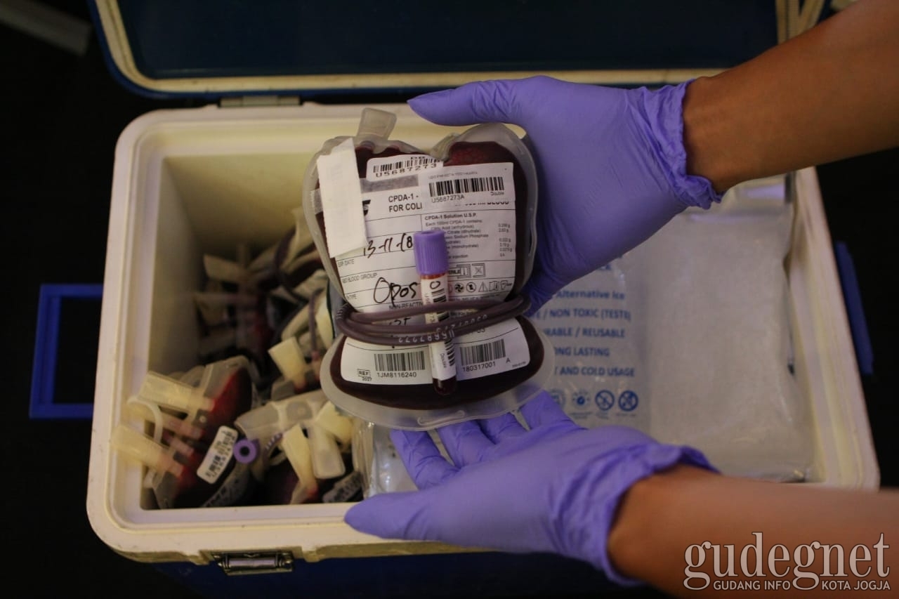 Hari Minggu Ke Mana? Donor, Yuk Hari Minggu Ke Mana? Donor, Yuk