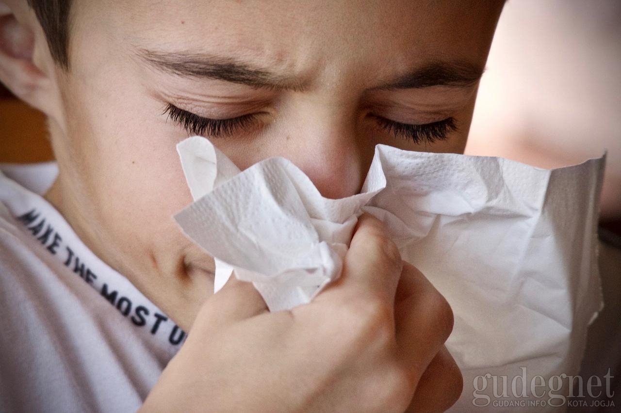 Tips Cegah Flu Bertambah Parah Tips Cegah Flu Bertambah Parah