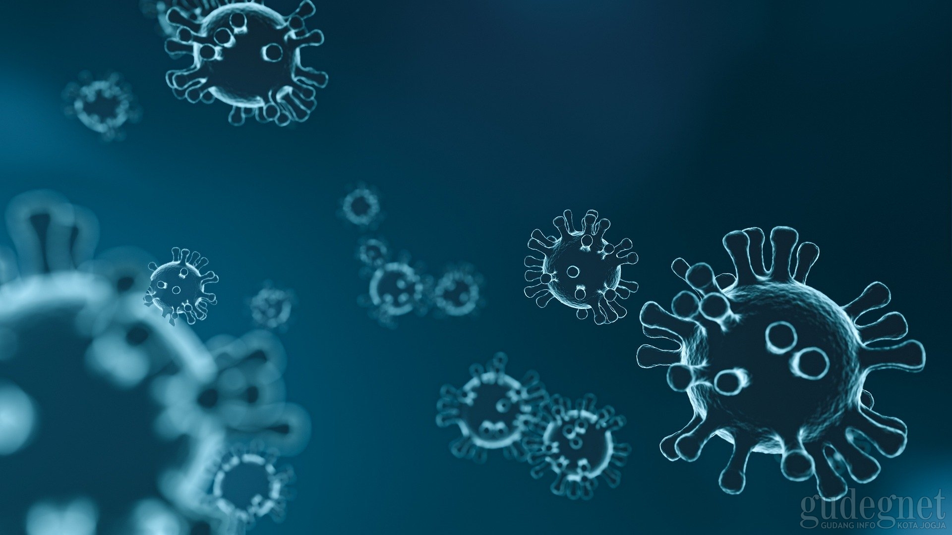 Tips Kenali dan Cegah Virus Corona
