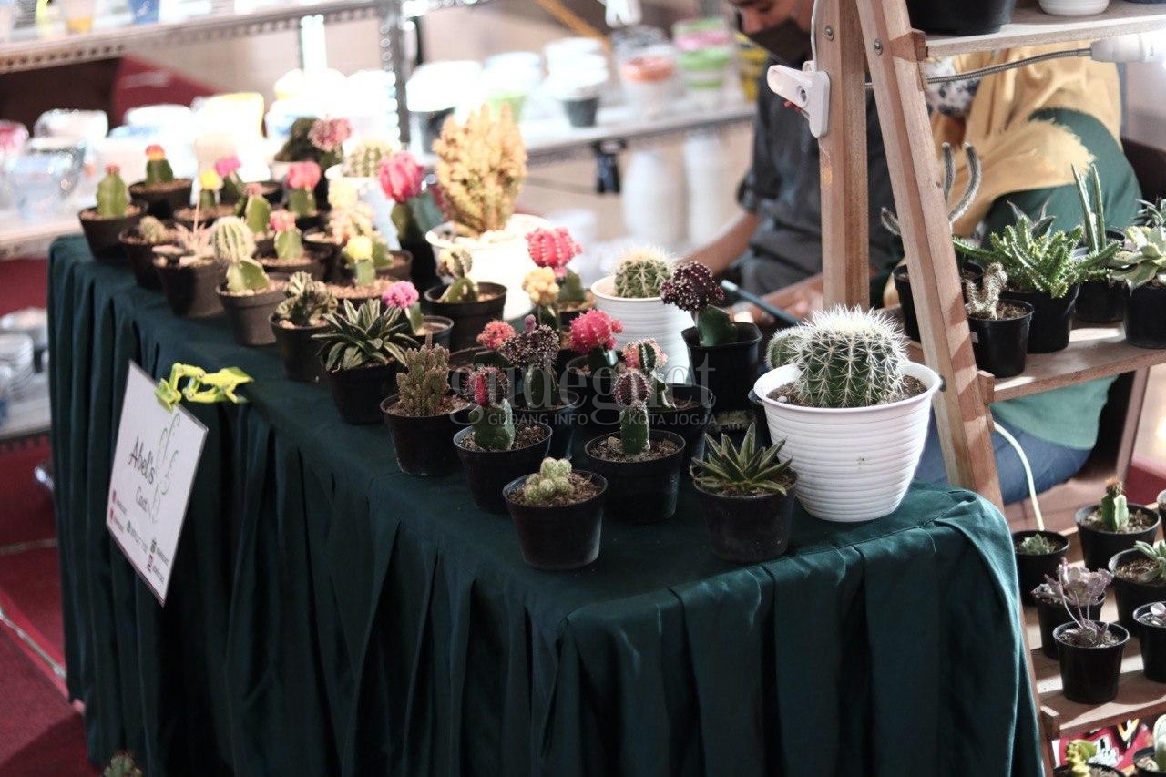 &lsquo;Plant Lovers&rsquo; Hadirkan Pameran hingga Workshop Tanaman Hias