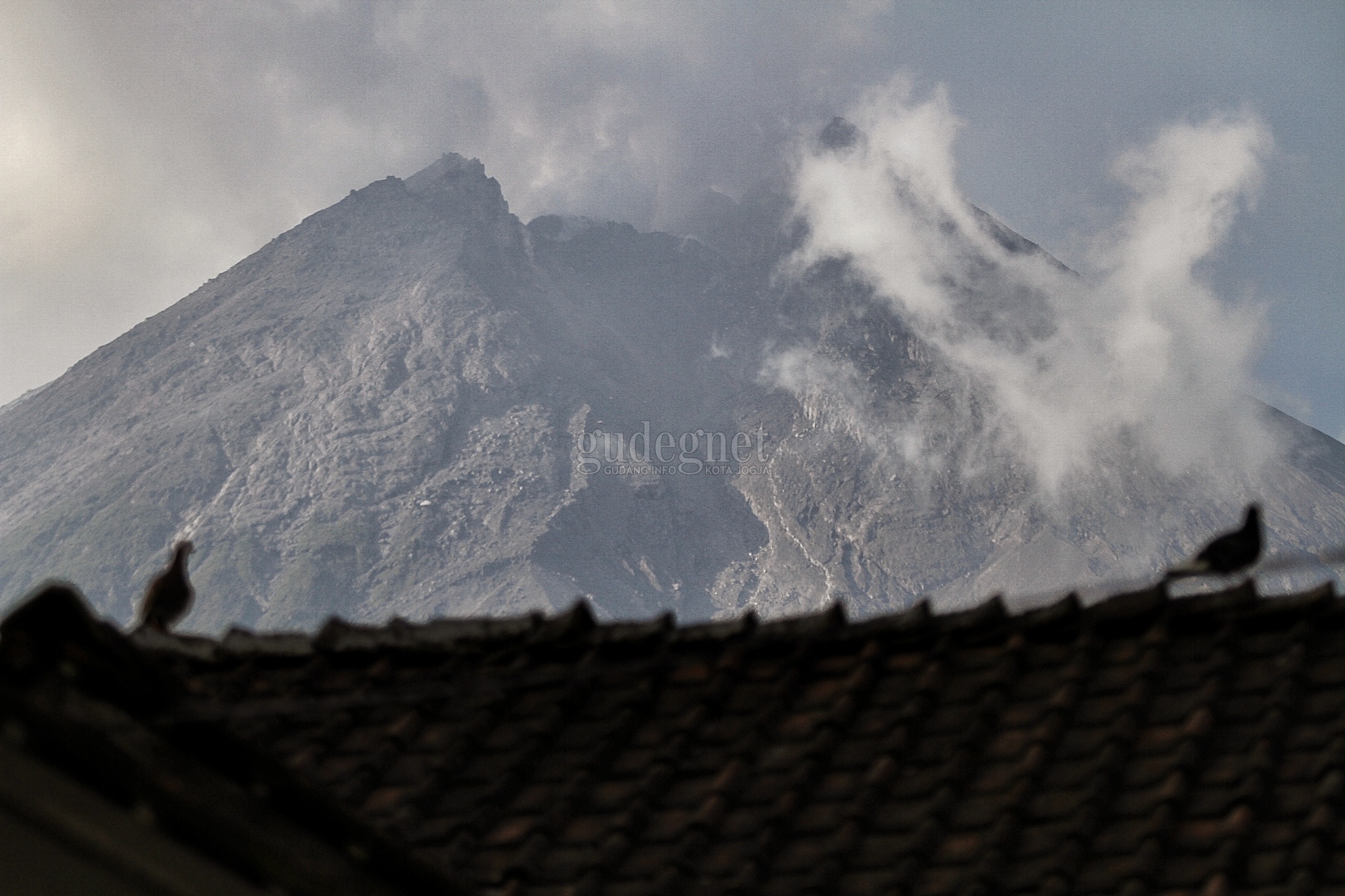 Merapi Keluarkan Guguran Lava 3.000 Meter, Ini Penjelasan BPPTKG