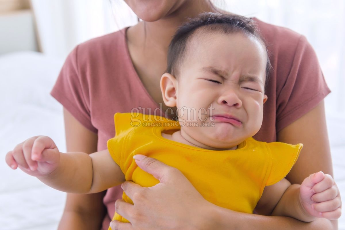 Mengatasi Bayi yang Mengalami ''Stranger Anxiety'' Mengatasi Bayi yang Mengalami ''Stranger Anxiety''
